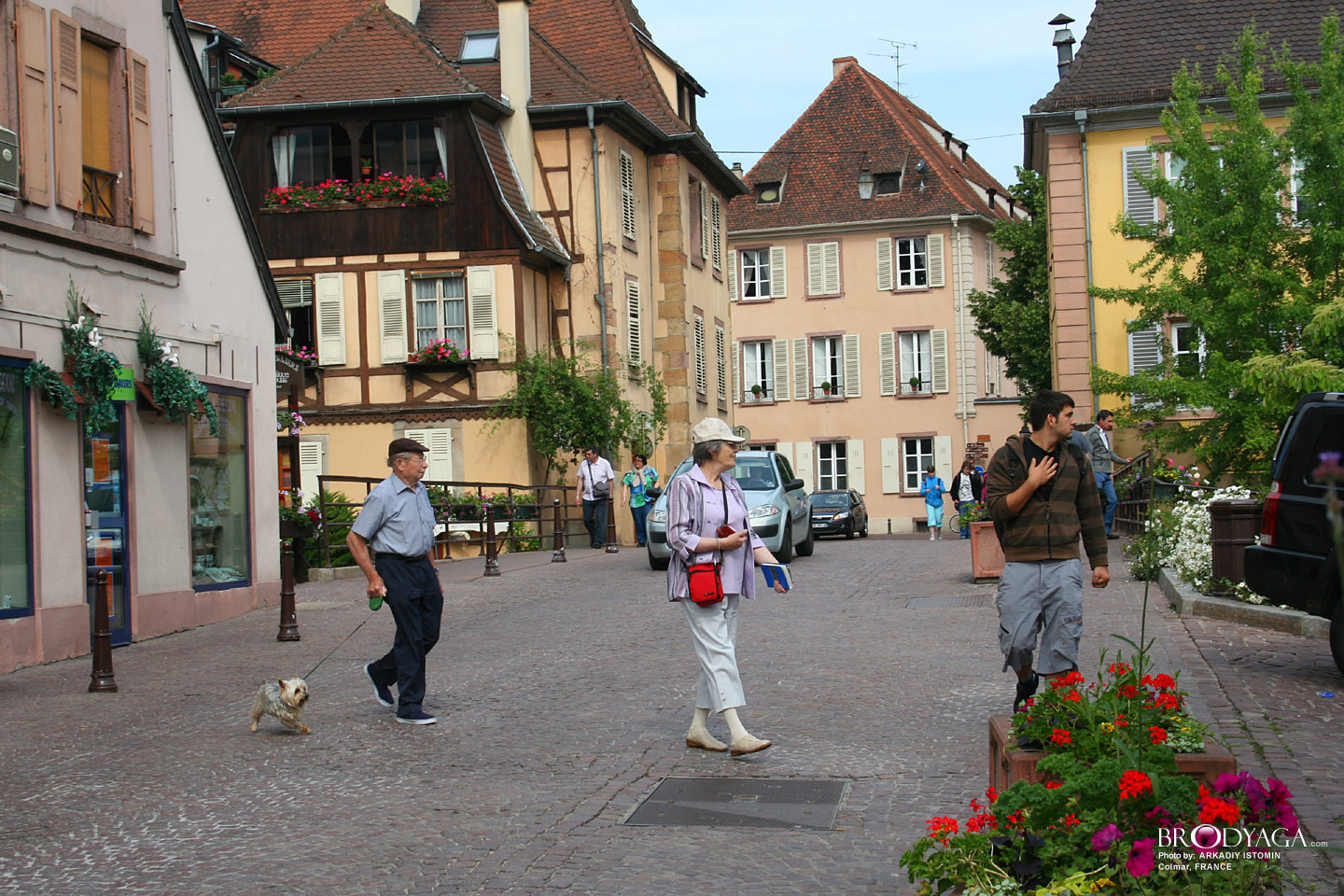 Colmar